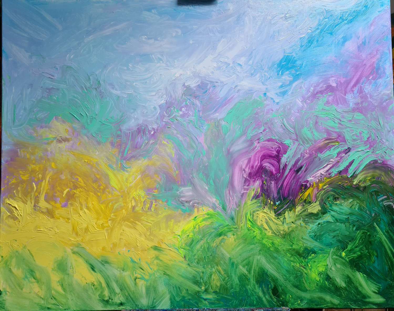   tableaux-contemporains-gautier- F.Gautier